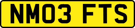 NM03FTS
