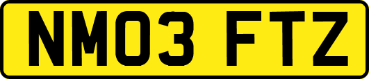 NM03FTZ