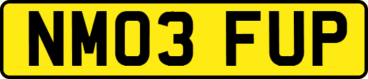 NM03FUP