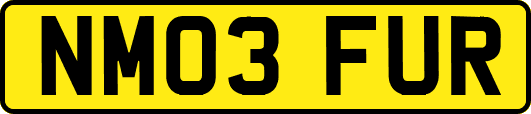 NM03FUR