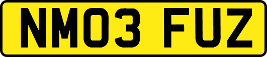 NM03FUZ