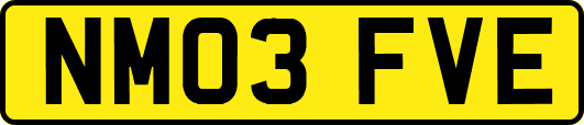 NM03FVE
