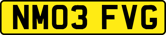 NM03FVG