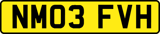 NM03FVH