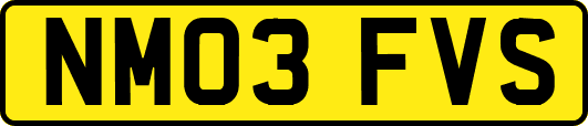 NM03FVS