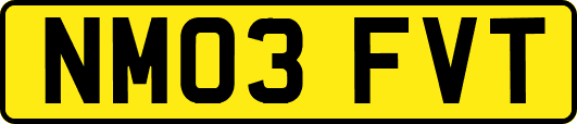 NM03FVT