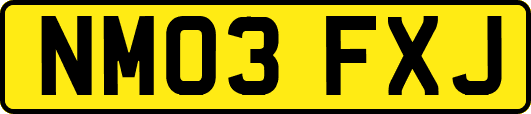 NM03FXJ