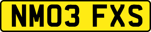 NM03FXS