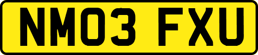 NM03FXU