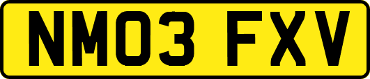 NM03FXV