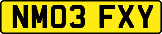 NM03FXY