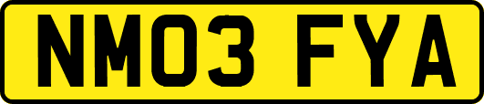 NM03FYA