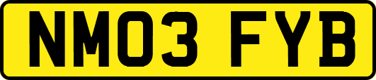 NM03FYB