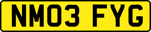 NM03FYG