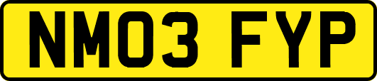 NM03FYP