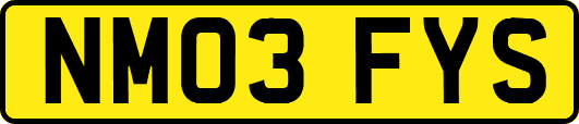 NM03FYS