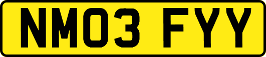 NM03FYY
