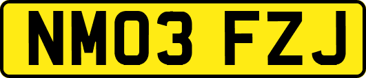 NM03FZJ