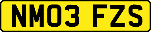 NM03FZS