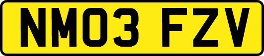 NM03FZV
