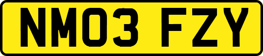 NM03FZY