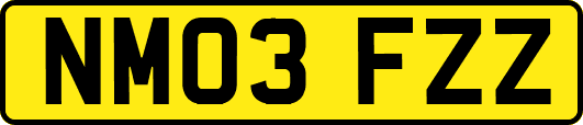 NM03FZZ