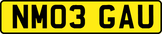 NM03GAU