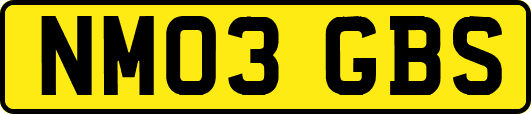 NM03GBS