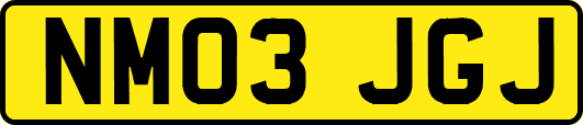 NM03JGJ