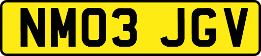 NM03JGV