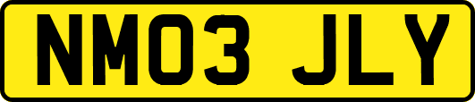 NM03JLY
