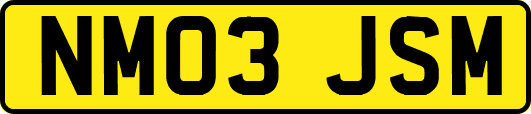 NM03JSM