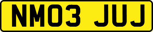 NM03JUJ