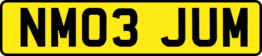 NM03JUM