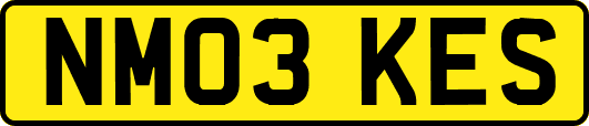 NM03KES