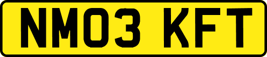 NM03KFT