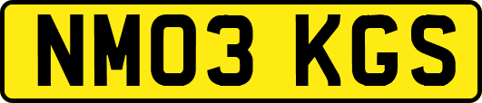 NM03KGS