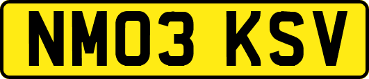 NM03KSV