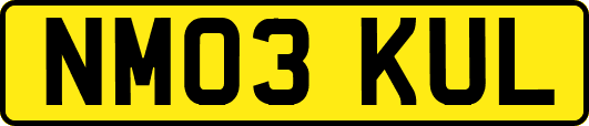 NM03KUL