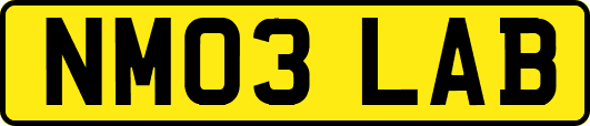 NM03LAB
