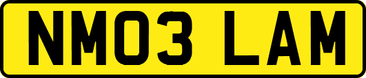 NM03LAM