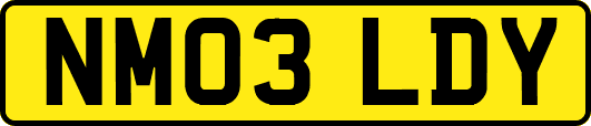 NM03LDY