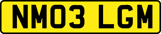 NM03LGM