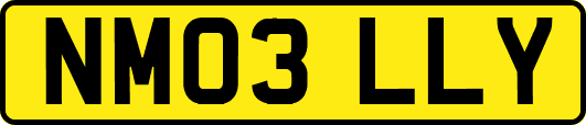 NM03LLY