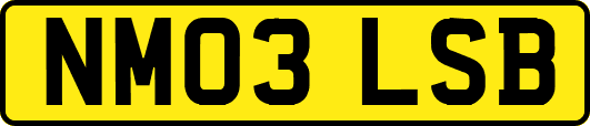 NM03LSB