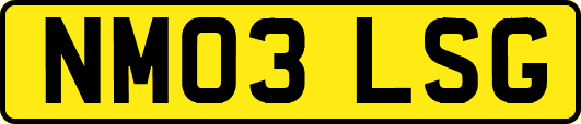 NM03LSG