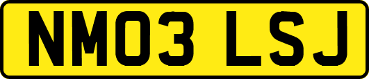 NM03LSJ