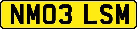 NM03LSM