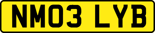 NM03LYB