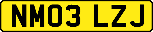 NM03LZJ